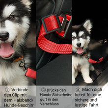 Laden Sie das Bild in den Galerie-Viewer, Hunde-Sicherheitsgurt