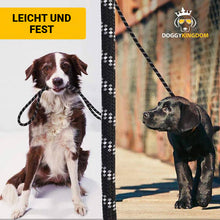 Laden Sie das Bild in den Galerie-Viewer, Reflektierende Premium Leine aus Nylon