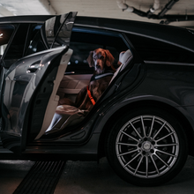 Laden Sie das Bild in den Galerie-Viewer, Hunde-Sicherheitsgurt