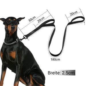 Hundeleine mit doppeltem Griff für Kontrolle/Sicherheit/Training
