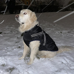 Doggykingdom® Winterjacke mit lebenslanger Garantie